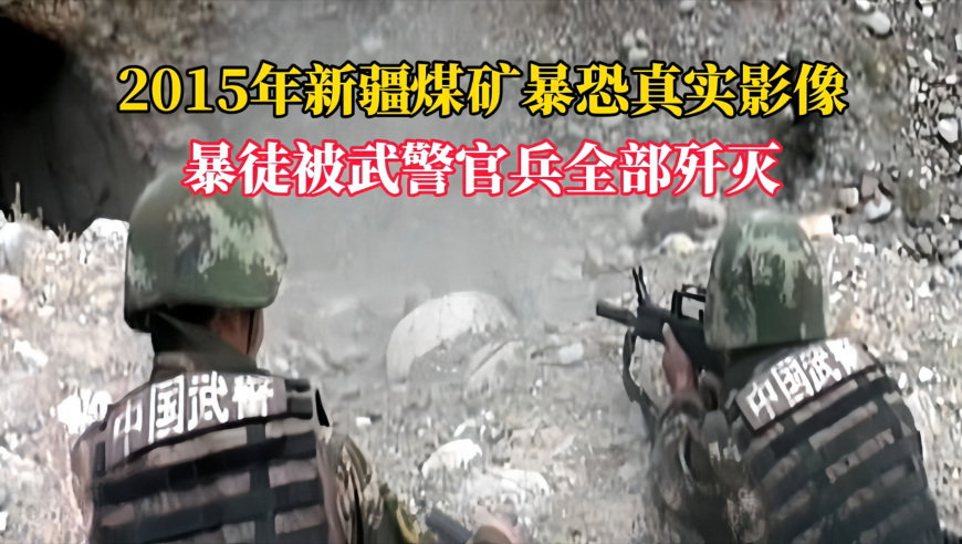 老澳门6合码今晚开奖结果,小猫也要发小猫书,完美答案解释落实_专家版V4.1